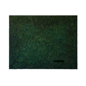 Pille Ernesaks “Müüa metsamaa(l) II”