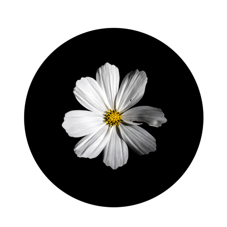 Ordinary Cosmos, Liis Karu
