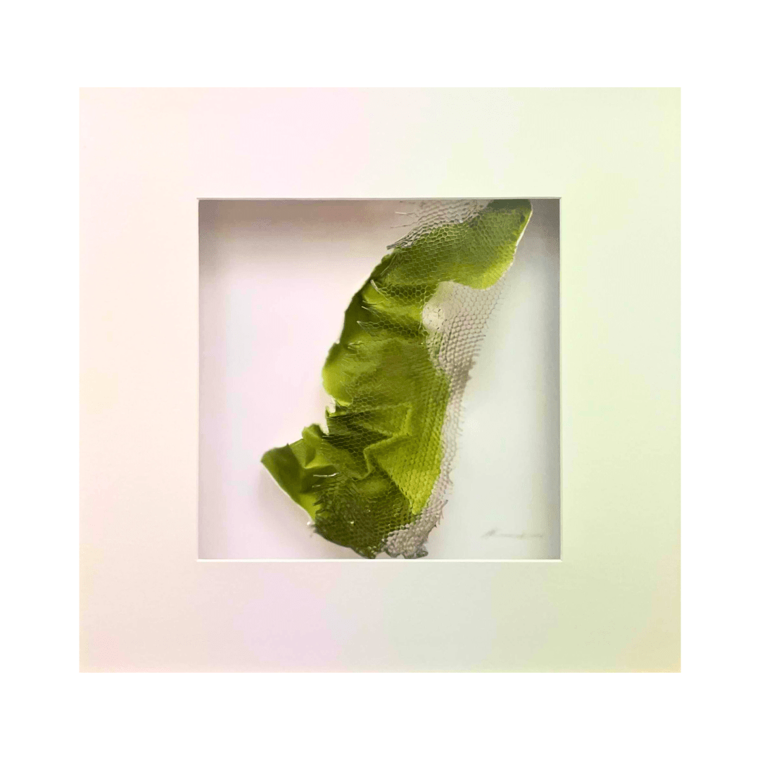 Exhibit II: Memory of Vitality, Eleny Kasemets