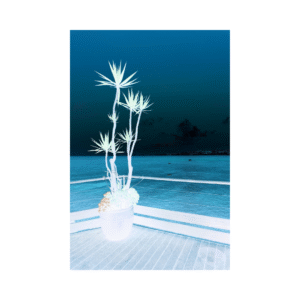 Kristel Schwede „Veidi ebamaised jalutuskäigud (Kärgpere)“