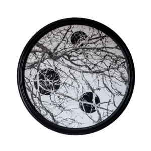 Heikki Leis „Negatiivne progress“