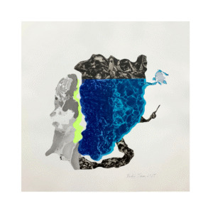 Kadri Toom „Sinisesse imbunud“