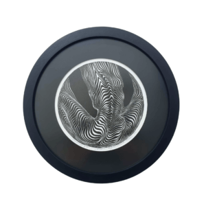 Regina-Mareta Soonsein “Shift”