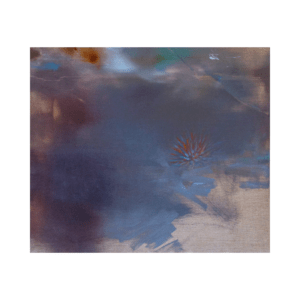 Heleliis Hõim “Monets”