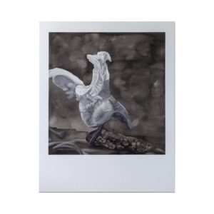 Gerda Hansen "In Balance"